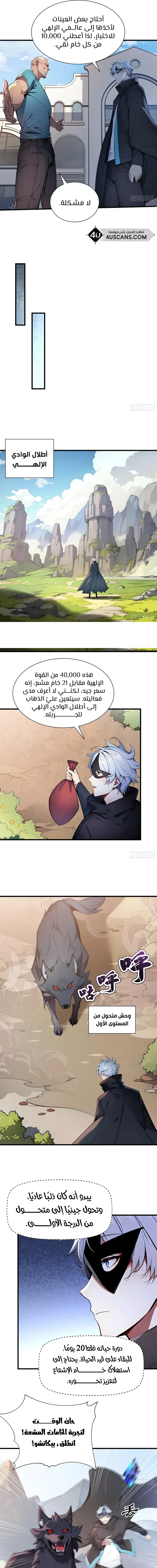 Chapter Image 3